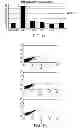 Fig. 08 - Modulated Immunodominance Therapy