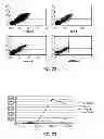 Fig. 11 - Modulated Immunodominance Therapy