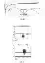 Fig. 13 - Modulated Immunodominance Therapy