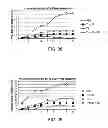Fig. 14 - Modulated Immunodominance Therapy
