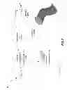 Fig. 08 - Biologically Efficacious Compositions, Articles of Manufacture and Processes for Producing and/or Using Same