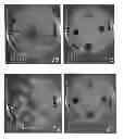 Fig. 09 - Biologically Efficacious Compositions, Articles of Manufacture and Processes for Producing and/or Using Same