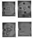 Fig. 11 - Biologically Efficacious Compositions, Articles of Manufacture and Processes for Producing and/or Using Same