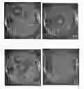 Fig. 12 - Biologically Efficacious Compositions, Articles of Manufacture and Processes for Producing and/or Using Same
