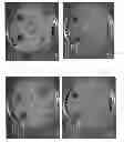 Fig. 13 - Biologically Efficacious Compositions, Articles of Manufacture and Processes for Producing and/or Using Same