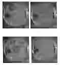 Fig. 14 - Biologically Efficacious Compositions, Articles of Manufacture and Processes for Producing and/or Using Same