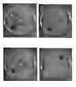 Fig. 15 - Biologically Efficacious Compositions, Articles of Manufacture and Processes for Producing and/or Using Same