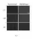 Fig. 04 - Synthetic platelets
