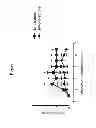 Fig. 02 - Use of spironolactone-based composition that exhibits an inhibitory action on T-lymphocyte activation which is useful for preventing and/or treating multiple sclerosis