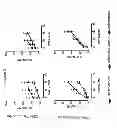 Fig. 03 - Use of spironolactone-based composition that exhibits an inhibitory action on T-lymphocyte activation which is useful for preventing and/or treating multiple sclerosis