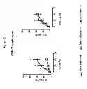 Fig. 04 - Use of spironolactone-based composition that exhibits an inhibitory action on T-lymphocyte activation which is useful for preventing and/or treating multiple sclerosis