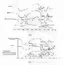 Fig. 02 - Medicinal carriers, and preparation method and uses thereof