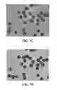 Fig. 09 - Bioresorbable embolization microspheres