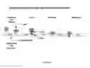 Fig. 02 - COMPOSITIONS AND METHODS FOR TREATMENT