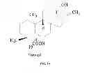 Fig. 03 - Methods for purifying steviol glycosides and uses of the same