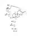 Fig. 04 - Methods for purifying steviol glycosides and uses of the same