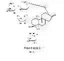 Fig. 07 - Methods for purifying steviol glycosides and uses of the same