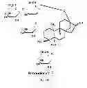 Fig. 10 - Methods for purifying steviol glycosides and uses of the same