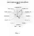 Fig. 26 - Methods for purifying steviol glycosides and uses of the same