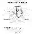 Fig. 33 - Methods for purifying steviol glycosides and uses of the same