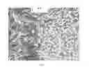 Fig. 02 - Patterned films and methods
