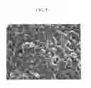 Fig. 04 - Positive active material layer composition for rechargeable lithium battery and rechargeable lithium battery using the same