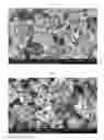 Fig. 03 - Nanocomposite cathode active material for lithium secondary batteries, method for preparing the same and lithium secondary batteries comprising the same