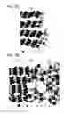 Fig. 03 - Material for electrode of power storage device, power storage device, and electrical appliance