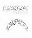 Fig. 07 - Bone carving tool for creating convex ridge for inner border of initial hole for placement of implant hole