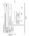Fig. 05 - HIERARCHICAL LEARNING ENVIRONMENT