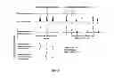 Fig. 03 - Detecting fetal chromosomal abnormalities using tandem single nucleotide polymorphisms