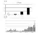 Fig. 06 - PRIMERS FOR DIAGNOSING ANKYLOSING SPONDYLITIS, AND METHOD FOR DIAGNOSING ANKYLOSING SPONDYLITIS USING THE SAME