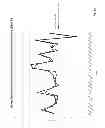 Fig. 37 - Compositions, methods and kits for real time polymerase chain reaction (PCR)