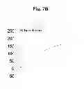Fig. 10 - Dual-target biosensor cell assays