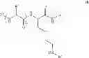 Fig. 07 - Methods for assaying enzyme activities