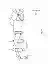 Fig. 06 - Multiview light-sheet microscopy
