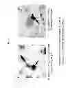 Fig. 02 - TDP-43-storing cell model