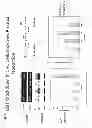 Fig. 05 - COMPOSITIONS AND METHODS FOR ENHANCING PRODUCTION OF A BIOLOGICAL PRODUCT