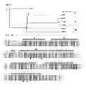 Fig. 02 - Bacteriorhodopsin fusion membrane protein expression system