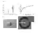 Fig. 06 - Bacteriorhodopsin fusion membrane protein expression system