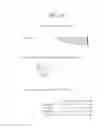 Fig. 49 - Recombinase polymerase amplification