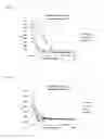 Fig. 10 - MICROORGANISMS AND METHODS FOR PRODUCING ACRYLATE AND OTHER PRODUCTS FROM HOMOSERINE