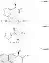 Fig. 03 - Enzymatic Synthesis of Optically Active Chiral Amines