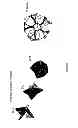 Fig. 06 - Method for preventing the unfolding of a (poly)peptide and/or inducing the (re-)folding of a (poly)peptide
