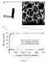 Fig. 10 - Method for preventing the unfolding of a (poly)peptide and/or inducing the (re-)folding of a (poly)peptide