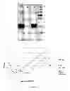 Fig. 16 - Method for preventing the unfolding of a (poly)peptide and/or inducing the (re-)folding of a (poly)peptide