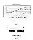 Fig. 19 - Method for preventing the unfolding of a (poly)peptide and/or inducing the (re-)folding of a (poly)peptide