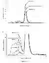 Fig. 28 - Method for preventing the unfolding of a (poly)peptide and/or inducing the (re-)folding of a (poly)peptide