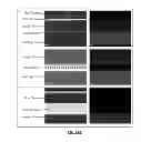 Fig. 05 - Cell culture and gradient migration assay methods and devices