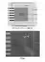Fig. 09 - Cell culture and gradient migration assay methods and devices